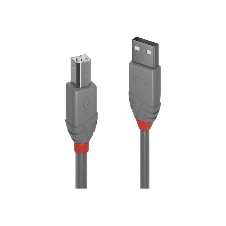 LINDY Câble USB (USB 2.0 Type-B, USB 2.0 Type-A, 50 cm)