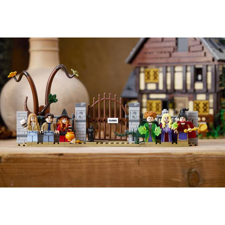 LEGO Disney Hocus Pocus: Das Hexenhaus der Sanderson-Schwestern (21341, seltenes Set)