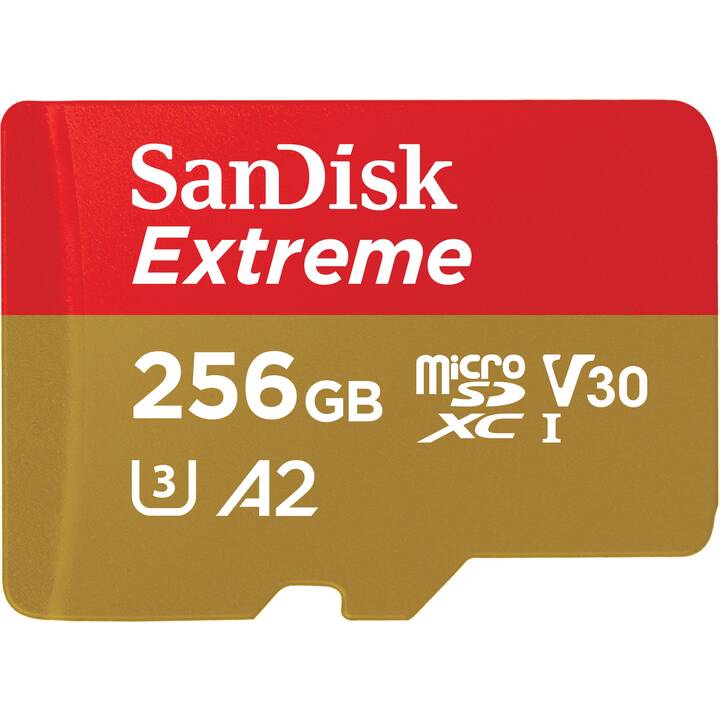 WESTERN DIGITAL MicroSDXC Extreme (Class 3, 256 GB, 160 MB/s)