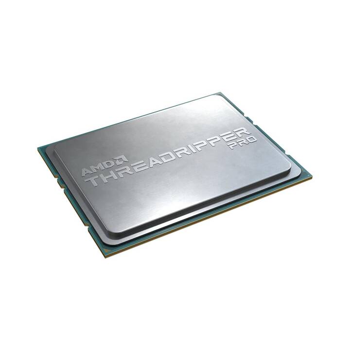 AMD  Ryzen ThreadRipper PRO (sWRX8, 3.6 GHz)