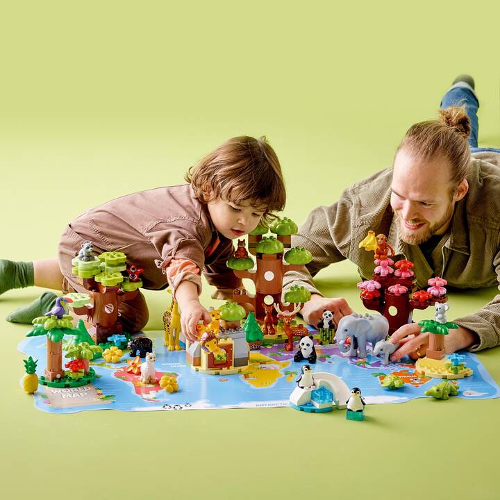 LEGO DUPLO Animali del mondo (10975)