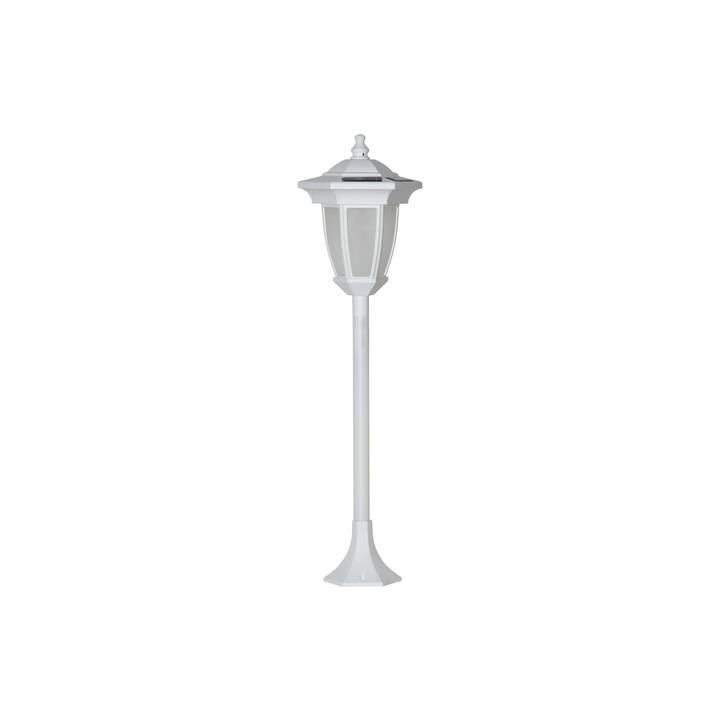 STAR TRADING Lampe solaire Flame (0.18 W, Blanc)