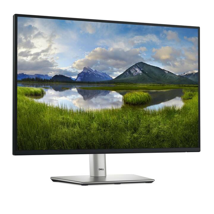 DELL P2425 (24.07", 1920 x 1200)