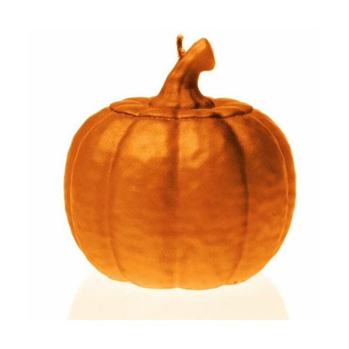 CANDELLANA Candela con motivo Halloween (Arancione)