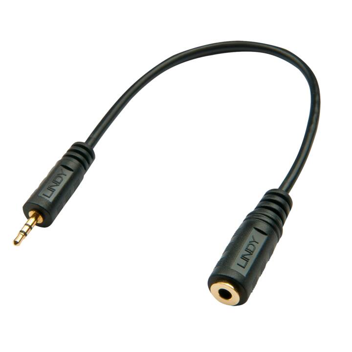 LINDY Câble adapteur (20 cm)