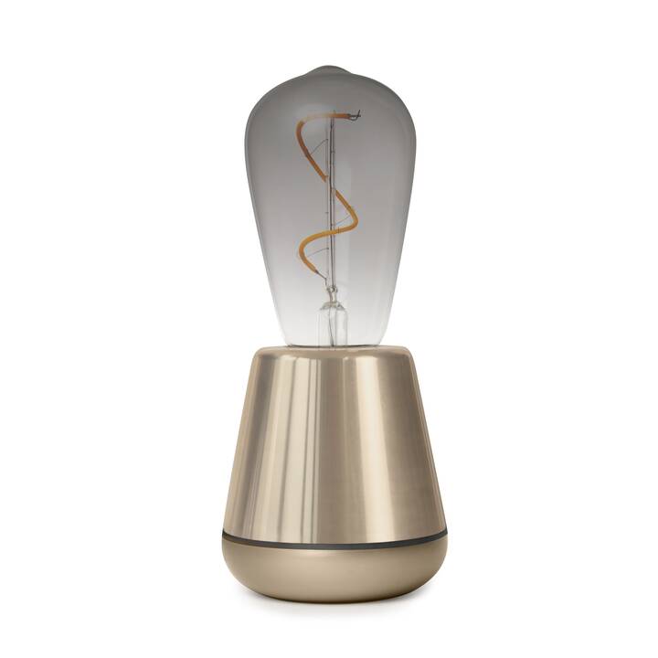 HUMBLE Lampe de table One (LED, Shiny gold)
