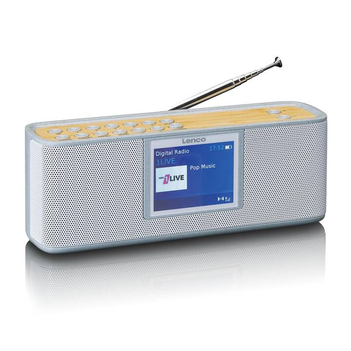 LENCO PDR-046 Radios numériques (Gris, Brun clair)