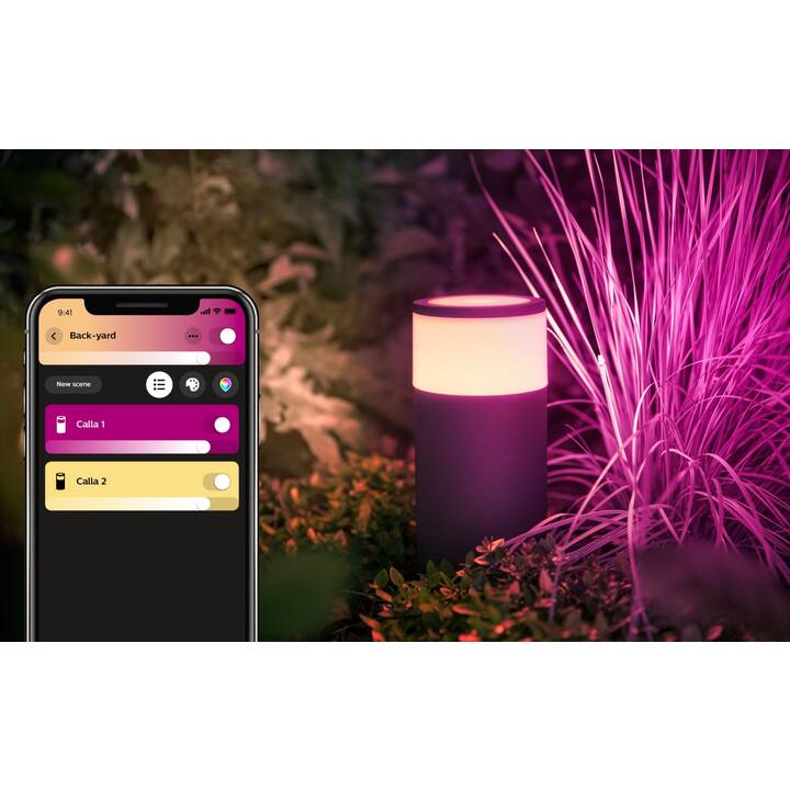 PHILIPS HUE Bornes lumineuses HUE Calla (LED, 8 W, Noir)