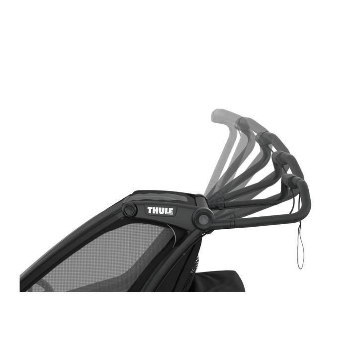 THULE Remorque à vélo pour enfants Chariot Sport 2 (2 sièges)