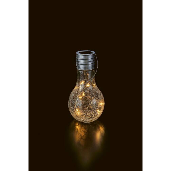 STT AG Lampe pour verre (Transparent)