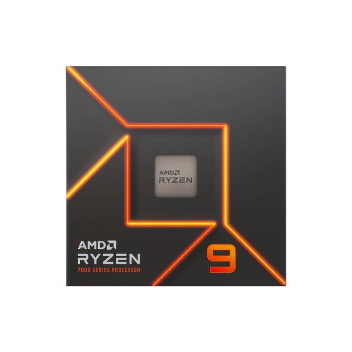 AMD Ryzen 9 7900 (AM5, 3.7 GHz)