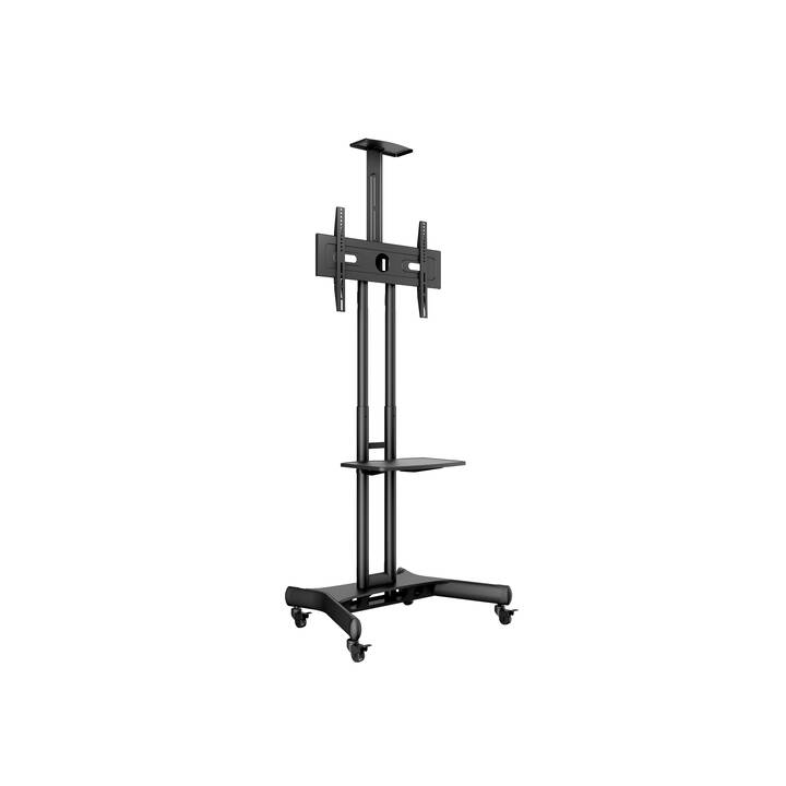 AUDIORAQ Carrello TV M Public Floorstand Basic 150 (32" – 60")