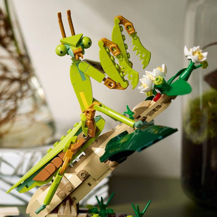 LEGO Ideas Die Insektensammlung (21342, seltenes Set)