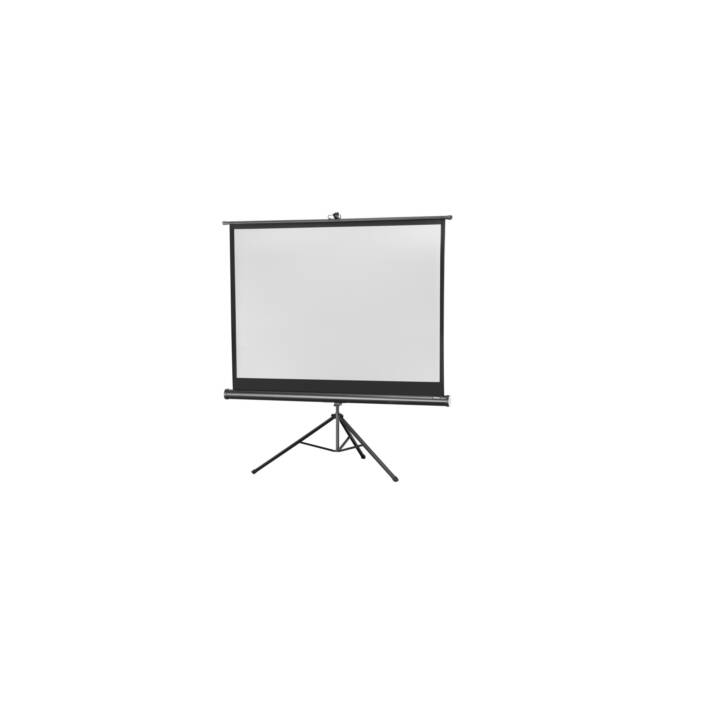 CELEXON Mobile Leinwand handbetrieben (120.0 inch, 4:3)