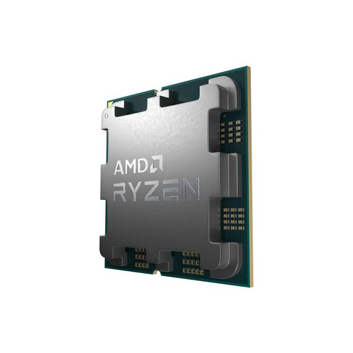 AMD Ryzen 7 7700X (AM5, 4.5 GHz)
