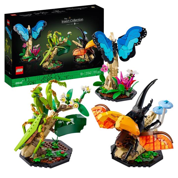 LEGO Ideas Die Insektensammlung (21342, seltenes Set)