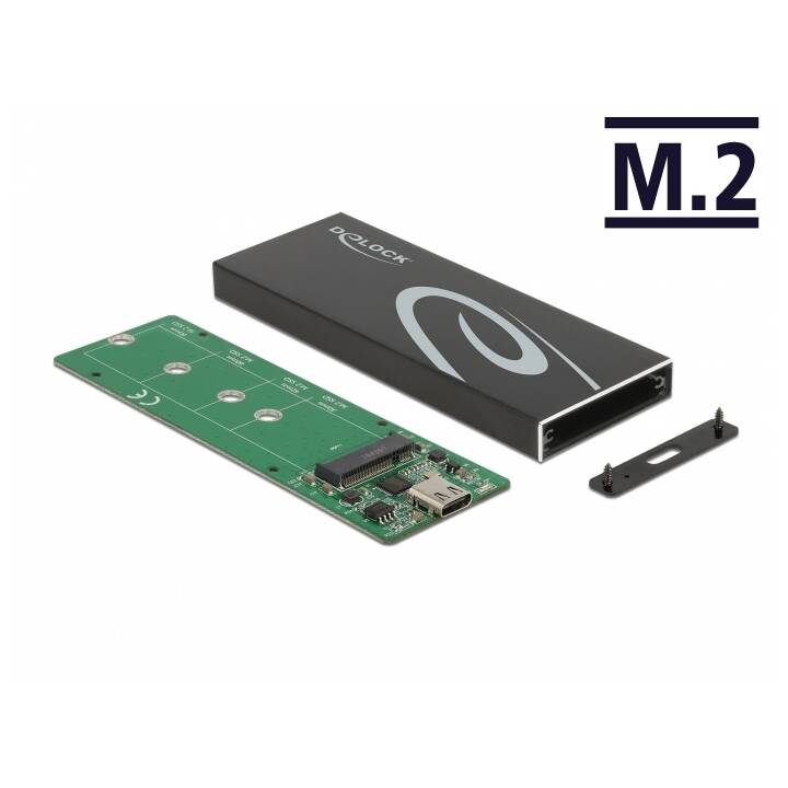 DELOCK M.2 SATA SSD mit USB Type-C (Boîtiers de disque dur externe)