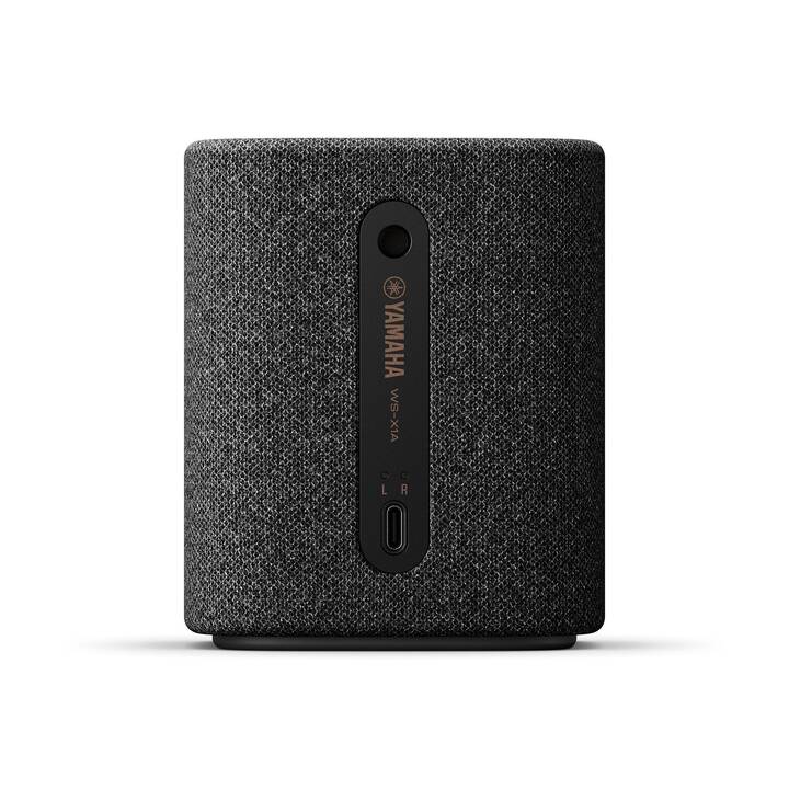 YAMAHA True X-Speaker WS-X1A (Gris carbone)