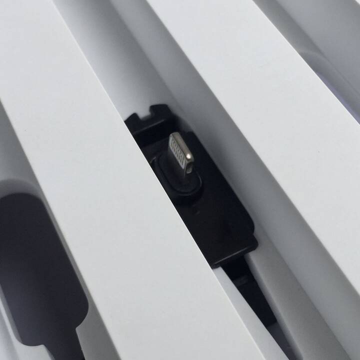 ALL DOCK Accumulatore di carica elettrica (USB-C, Lightning, 0.35 m)
