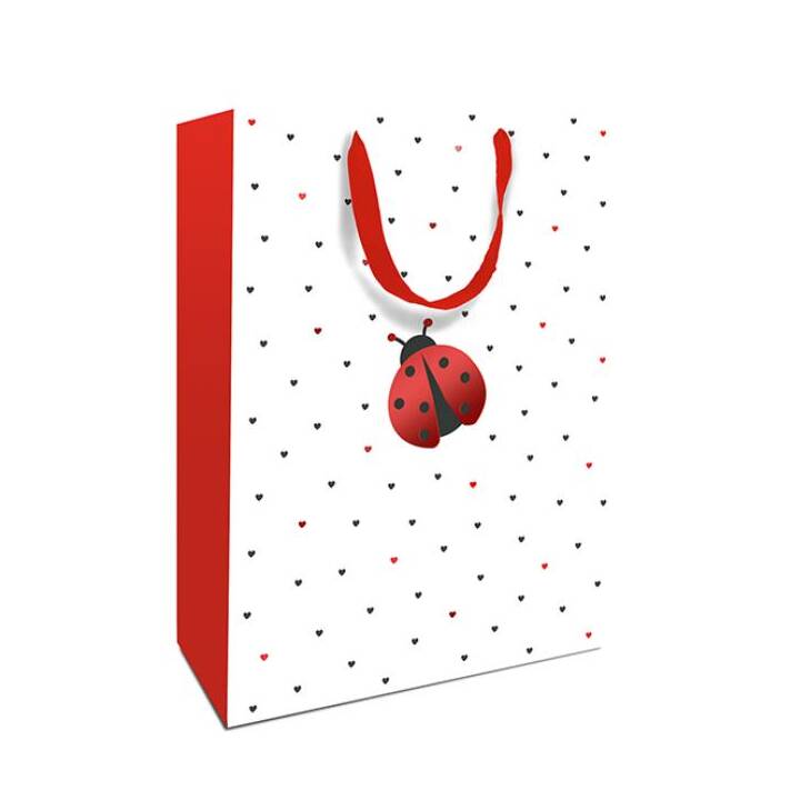 BRAUN + COMPANY Sachet cadeau Ladybird (Rouge, Coccinelle)