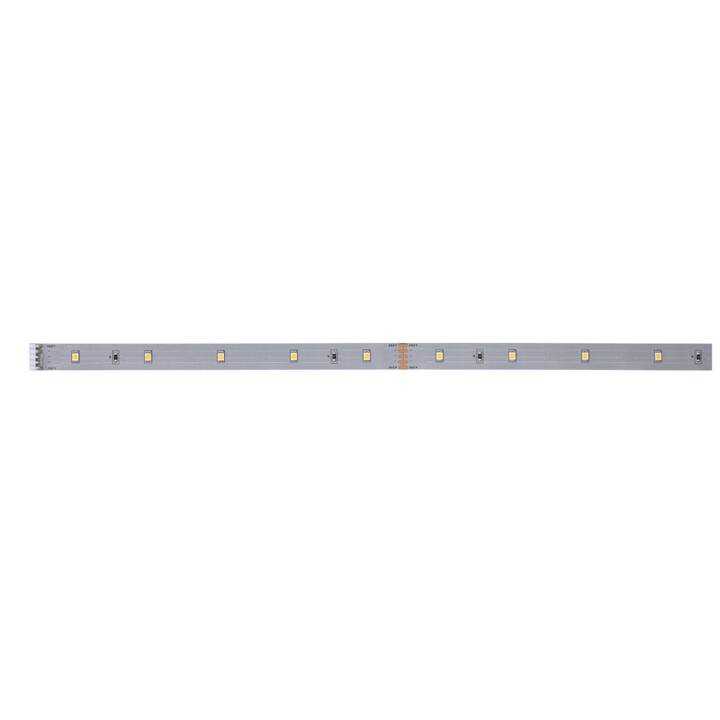 PAULMANN MaxLED 250 Extension LED Light-Strip (100 cm)