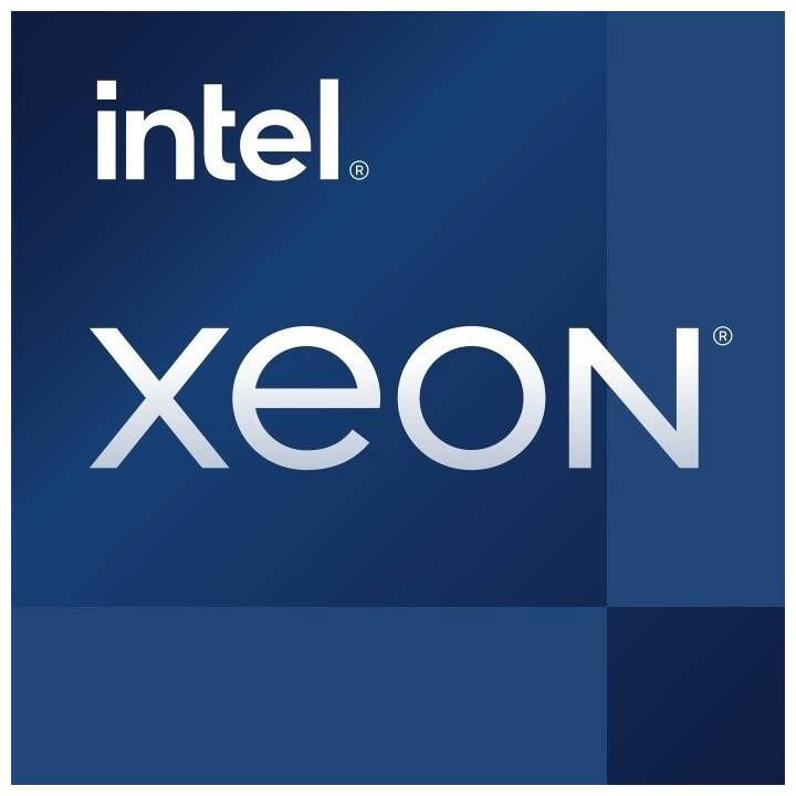DELL PowerEdge T150 C2YCK (Intel Xeon E, 16 GB, 3.4 GHz)