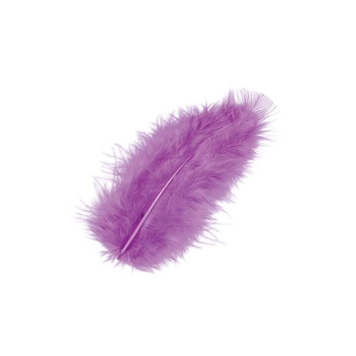 KNORR PRANDELL Plumes (Pourpre)