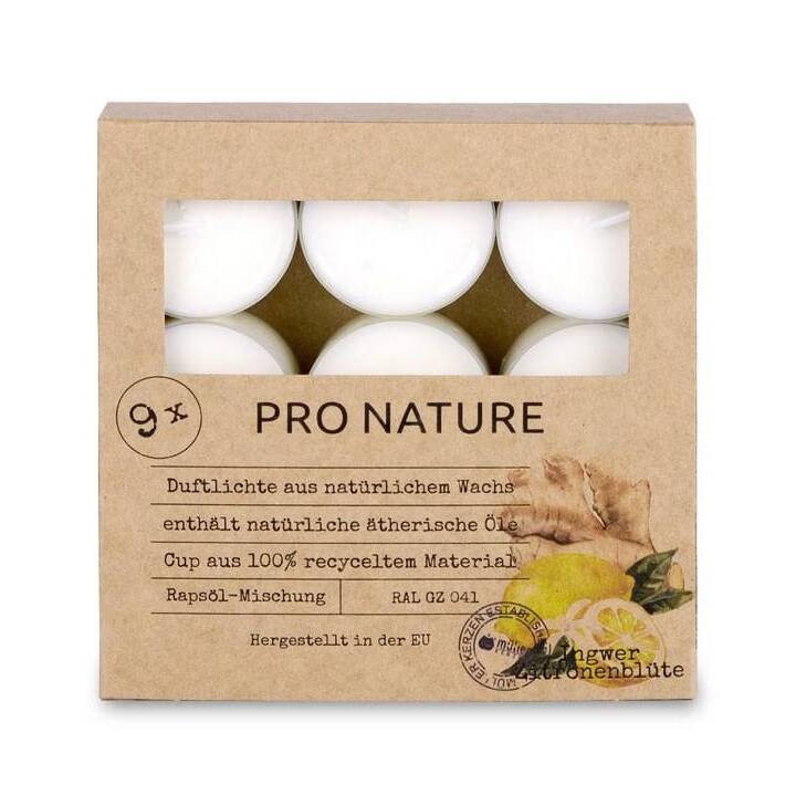 MÜLLER KERZEN Duft-Teelicht Pro Nature (9 Stück, 3.8 cm, Weiss)