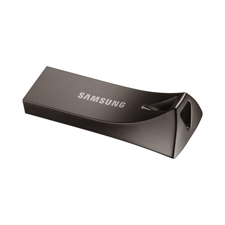SAMSUNG Titan (256 GB, USB 3.1 Typ-A)