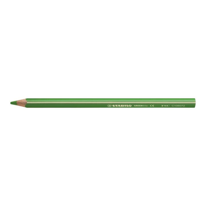 STABILO Crayons de couleur Green Trio (Multicolore, 12 pièce)