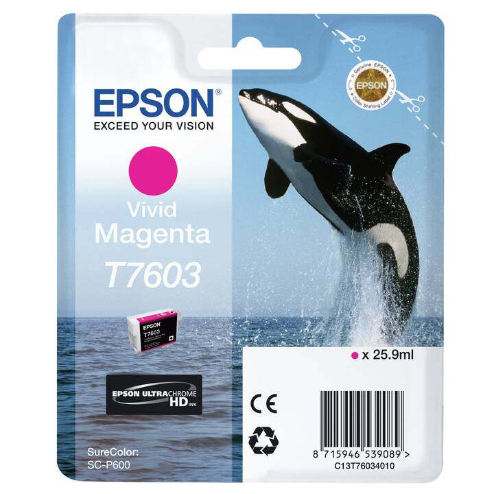 EPSON T7603 (Vivid Magenta, Magenta, 1 pièce)
