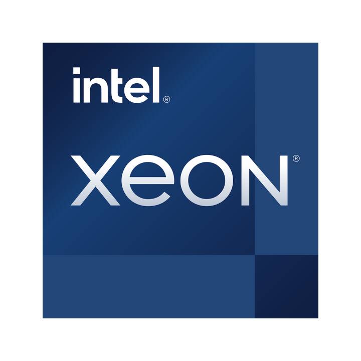 DELL EMC PowerEdge T350 Intel Xeon E 16 GB 2 8 GHz Interdiscount