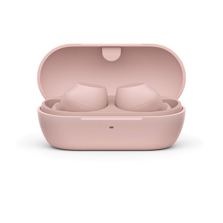 Image du produit 14
