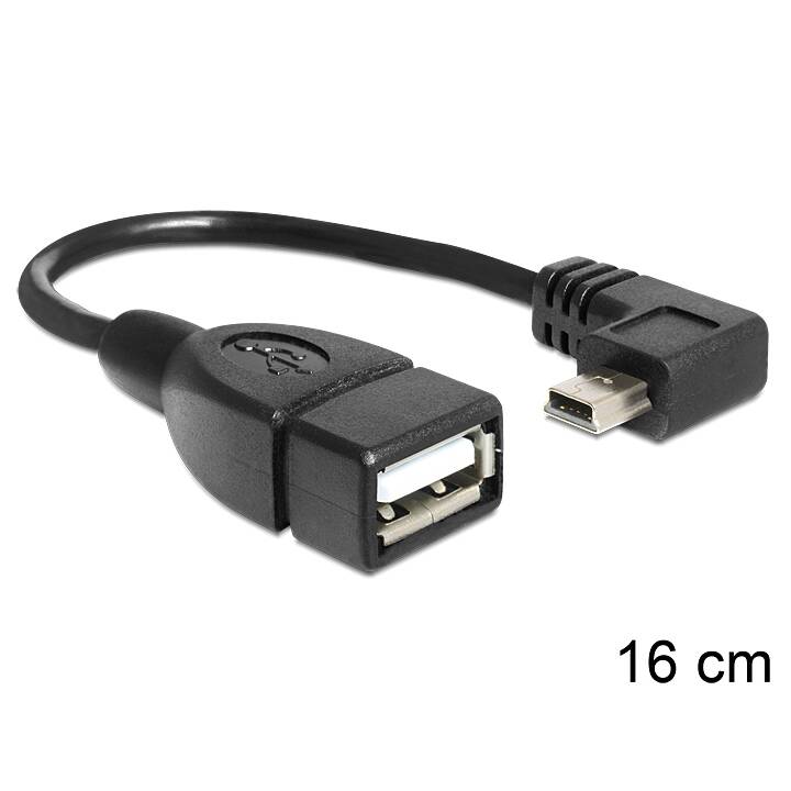 DELOCK Câble USB ( USB 2.0 de type A, Mini USB 2.0 Type-B, 16 cm)