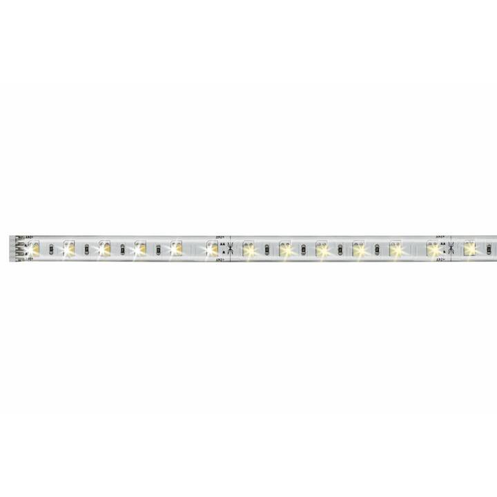 PAULMANN Tunable White LED Light-Strip (1 m)