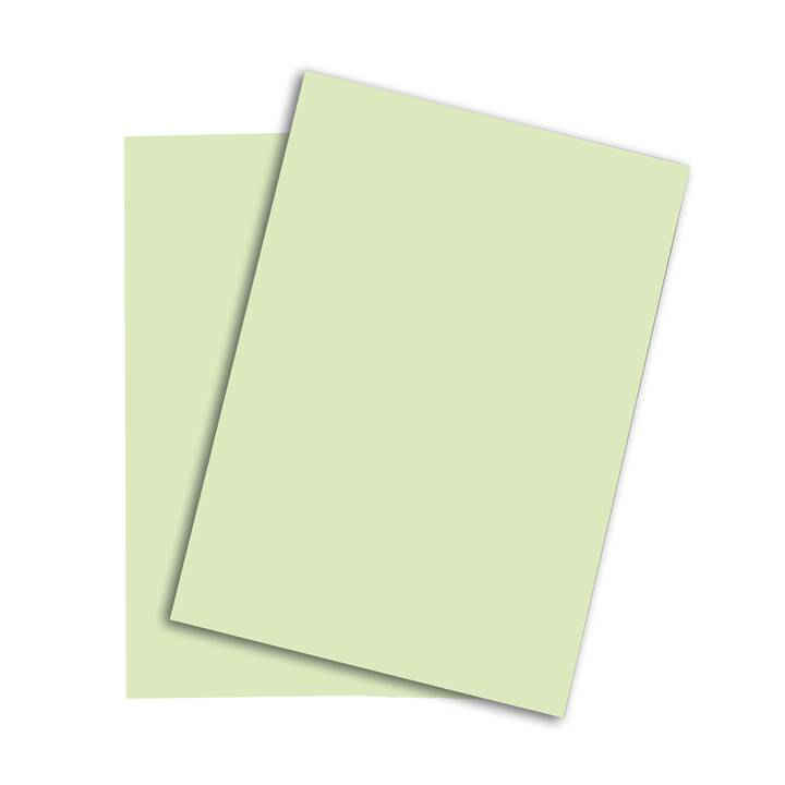 PAPYRUS Rainbow Farbiges Papier (250 Blatt, A4, 120 g/m2)