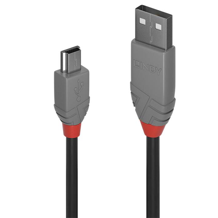 LINDY USB-Kabel (USB 2.0 Mini Typ-B, USB 2.0 Typ-A, 2 m)