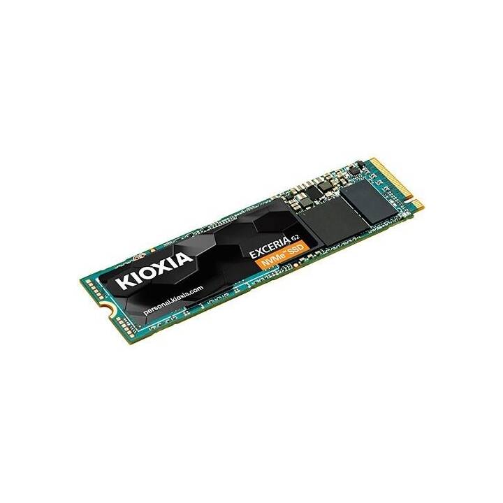 KIOXIA EXCERIA G2 LRC20Z001TG8 (PCI Express, 1000 GB)