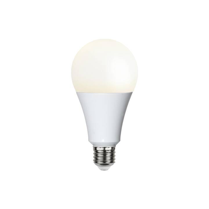 STAR TRADING Ampoule LED High (E27, 19 W)