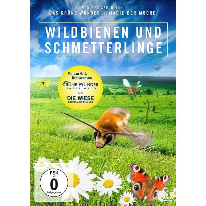 Wildbienen und Schmetterlinge (DE)