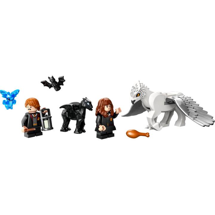 LEGO Harry Potter La Forêt interdite: les créatures magiques (76432)