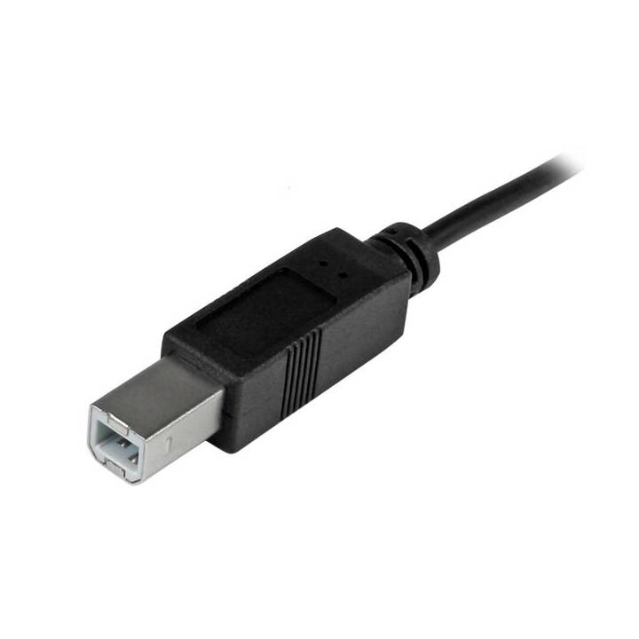 STARTECH.COM USB 2.0 USB-C à USB-B Câble de connexion USB Câble de connexion USB 1 m