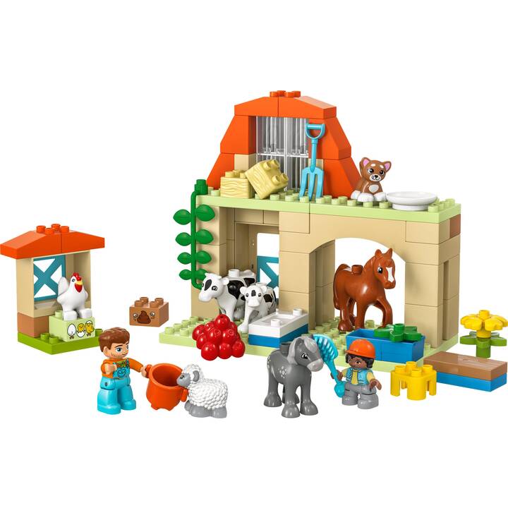 LEGO DUPLO My Town Prendre soin des animaux de la ferme (10416)