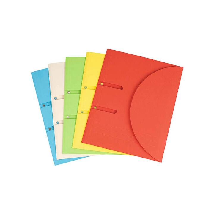ELCO Cartellina organizzativa (Multicolore, A4, 10 pezzo)