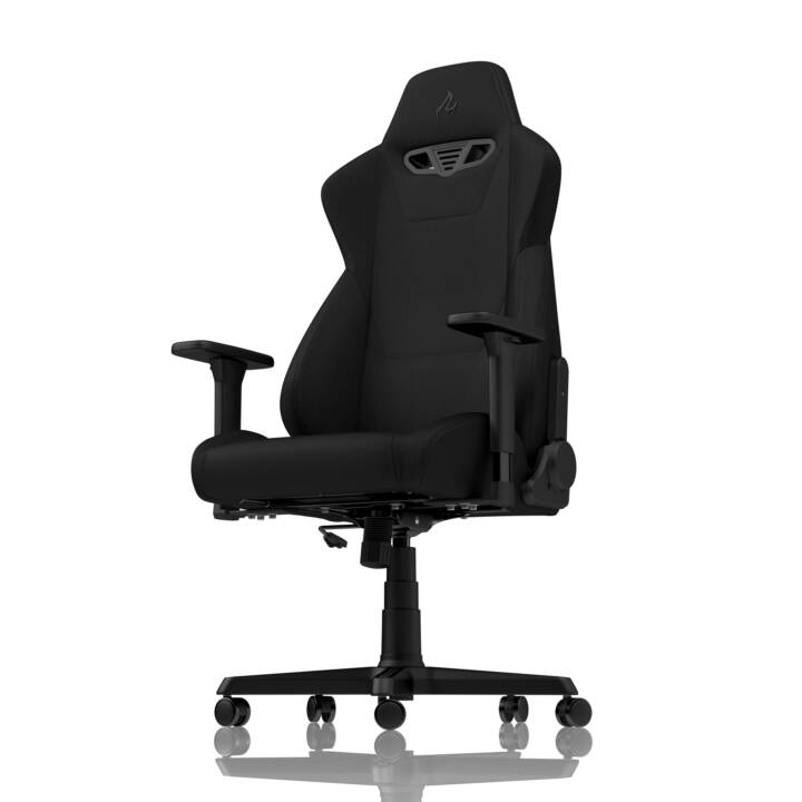 NITRO CONCEPTS Gaming Chaise S300 (Noir)