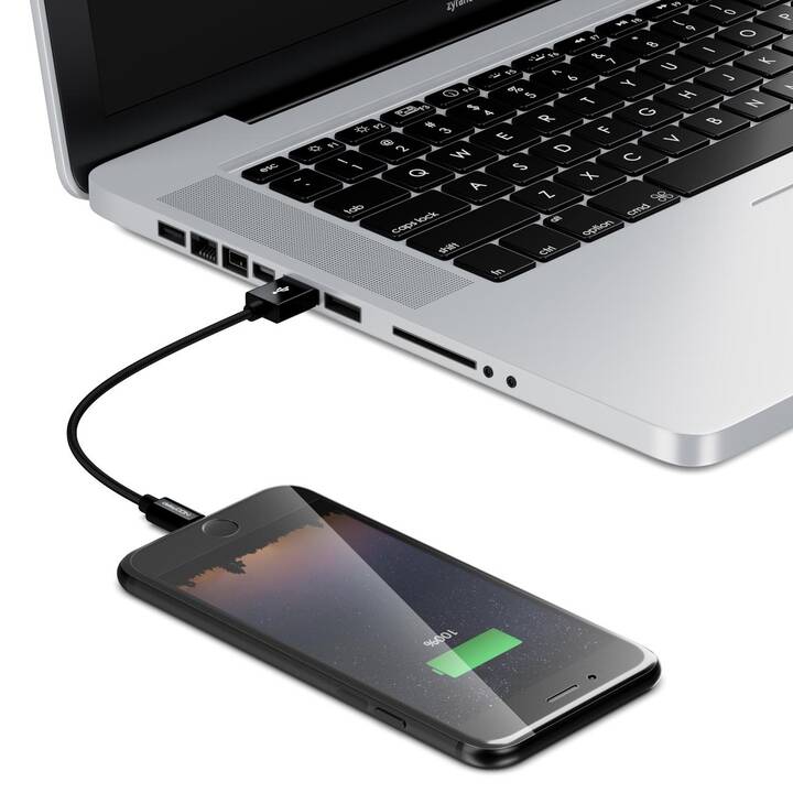 DELEYCON Câble (USB 2.0 de type A, Lightning, 0.5 m)