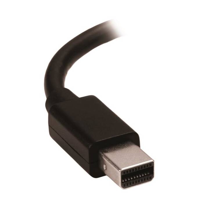 STARTECH.COM Adaptateur (DisplayPort Mini, HDMI, 0.148 m)