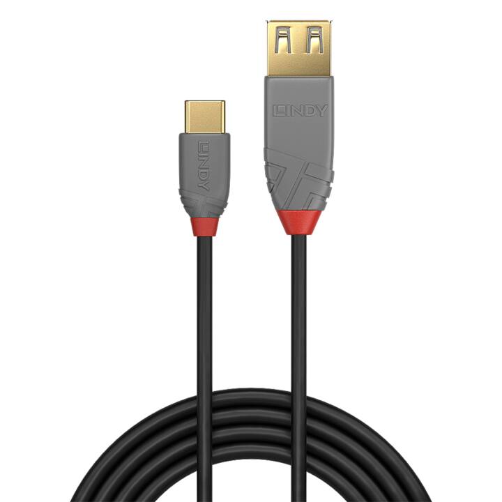 LINDY USB-Kabel Schwarz - 0.15 m