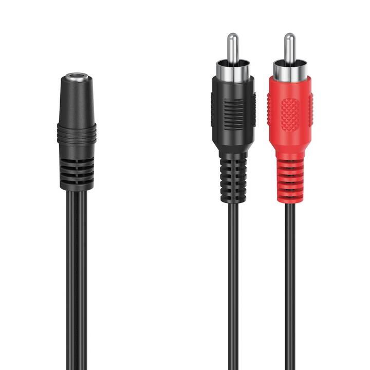 INTERTRONIC Câble adapteur (Cinch, Jack 3.5 mm, 0.1 m)