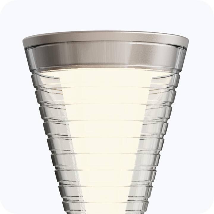 XOXO DESIGN Lampe de table X8 (Beige, Champagne)